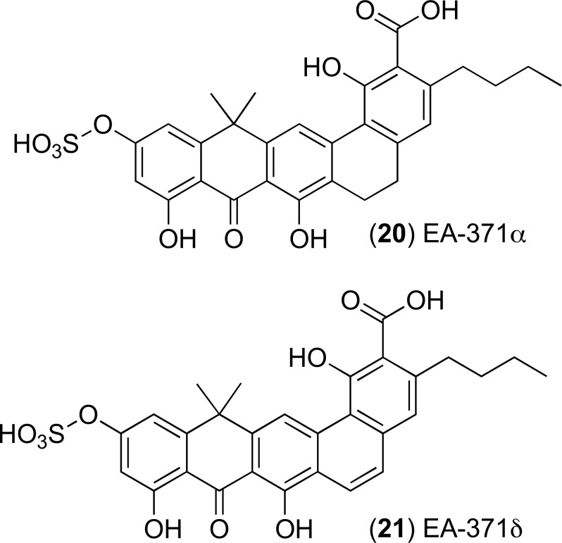 Fig. (10)