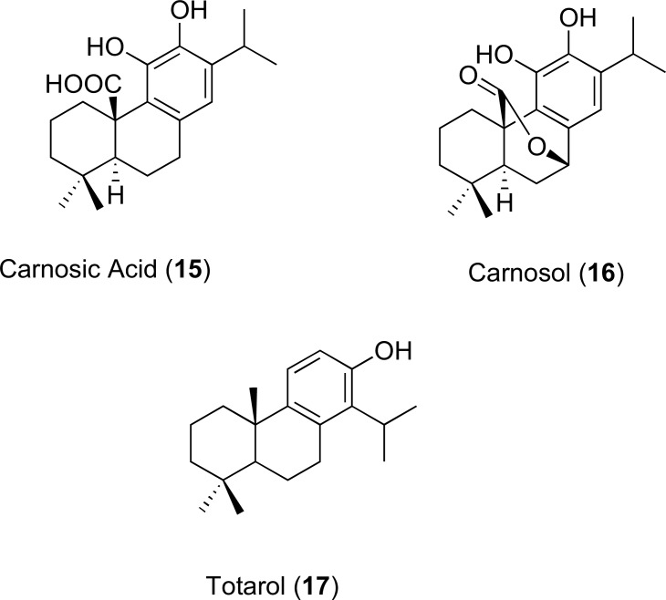 Fig. (8)