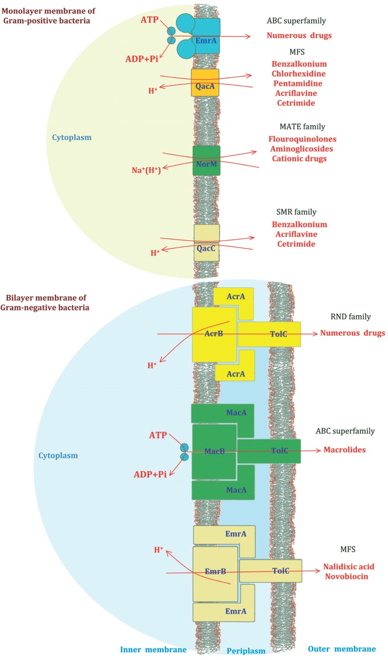 Fig. (2)