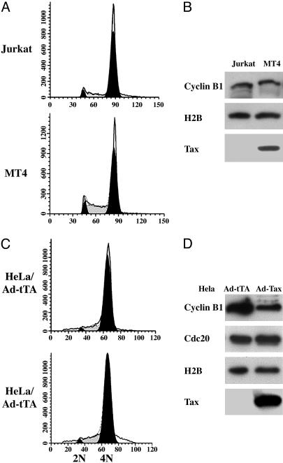 Fig. 5.