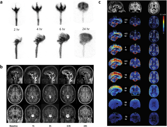 Fig. 9