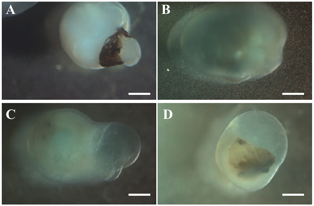 FIG. 2: