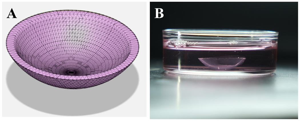 FIG. 4: