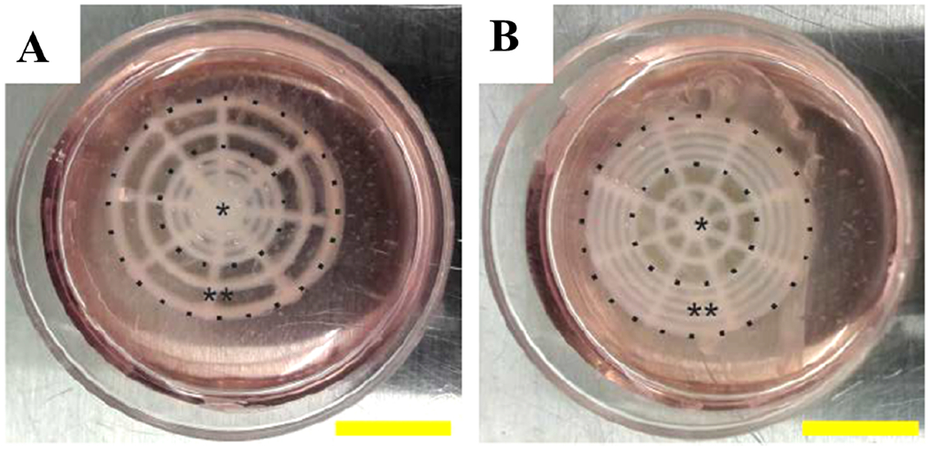 FIG. 6: