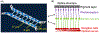 FIG. 7: