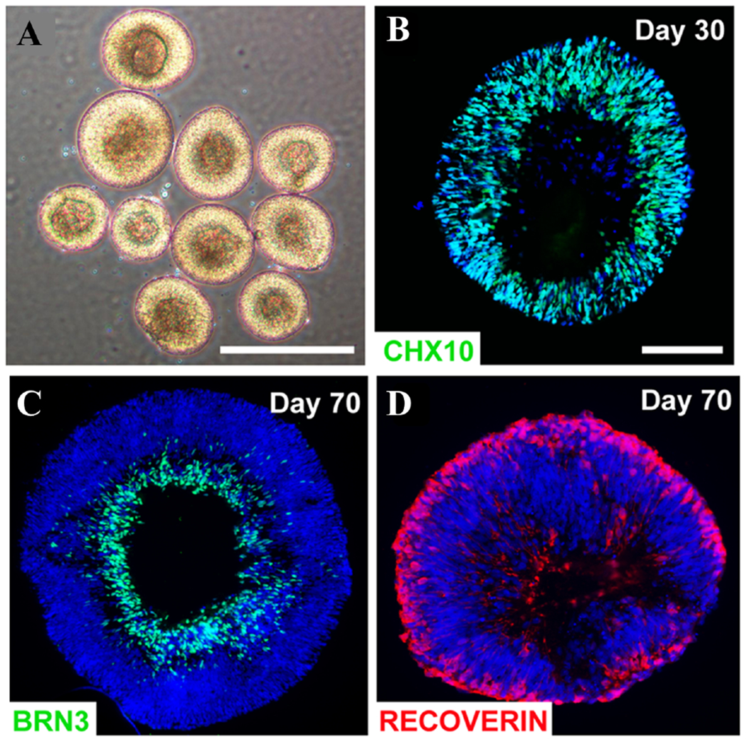 FIG. 3: