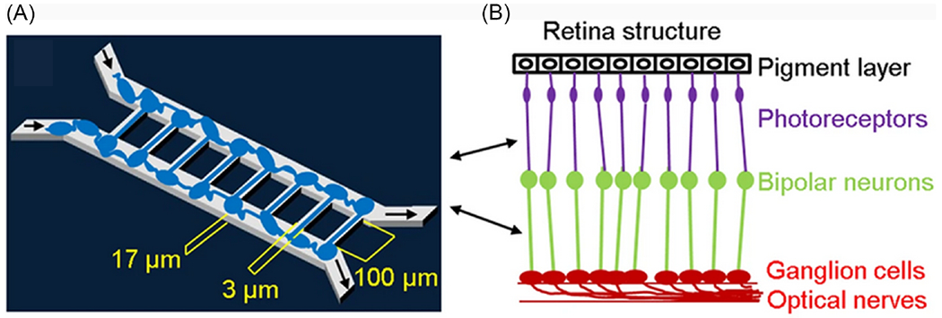 FIG. 7: