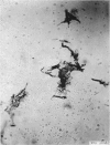 210-1