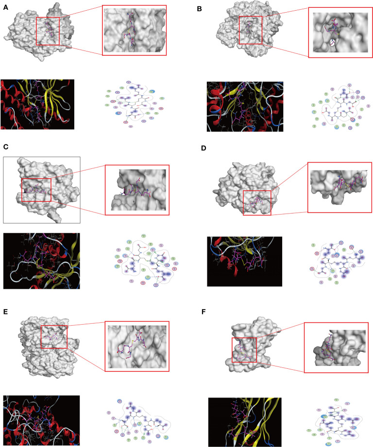 Figure 2