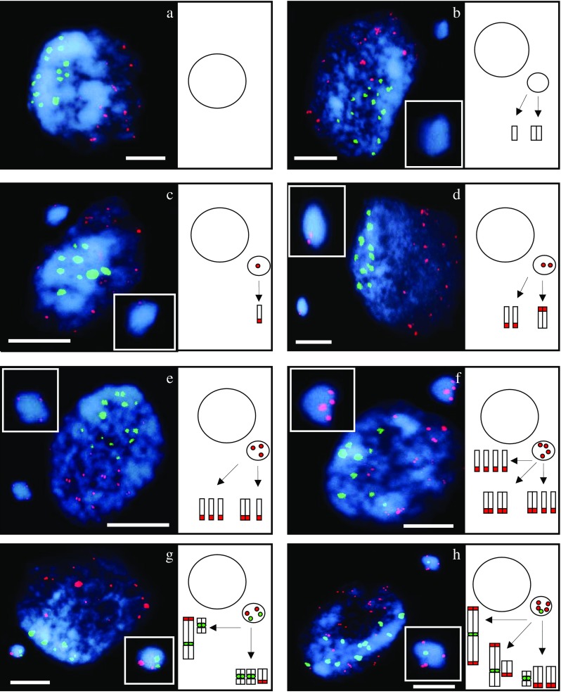 Fig. 3