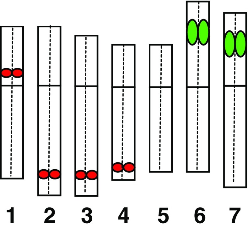 Fig. 2