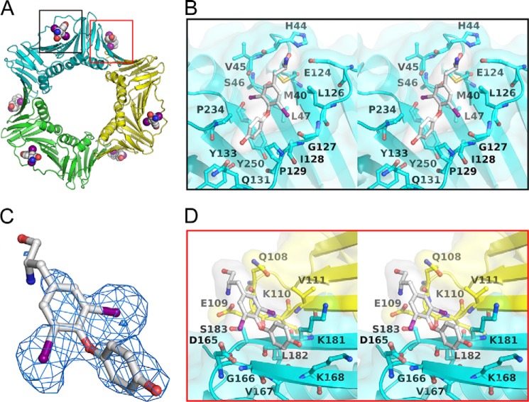 FIGURE 1.