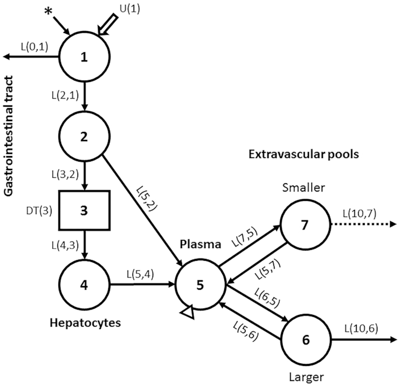 FIGURE 1