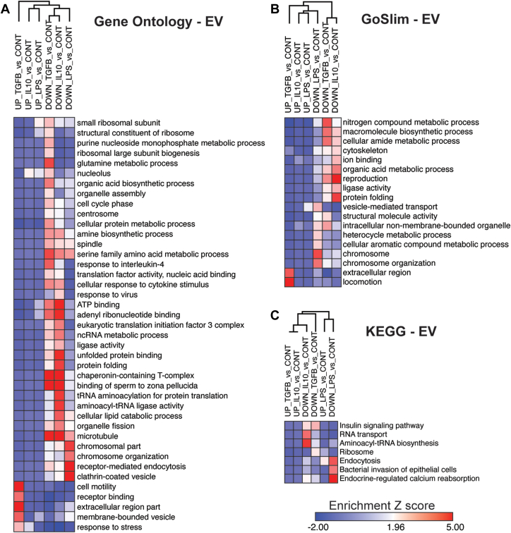 Fig. 4