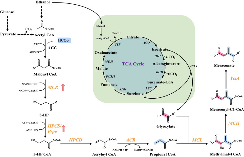 graphic file with name 40643_2023_652_Figa_HTML.jpg