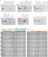 Extended Data Fig. 7