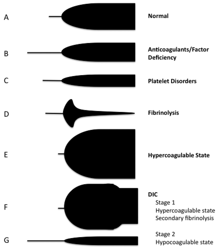 Figure III