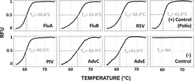 Fig. 17