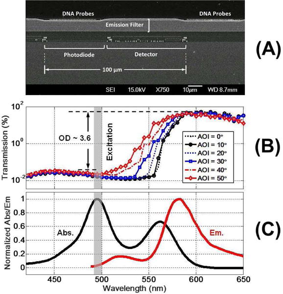 Fig. 13