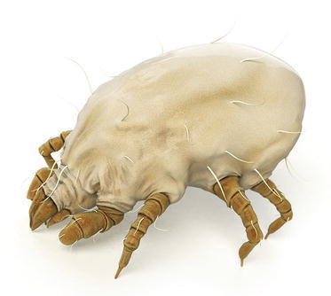 graphic file with name 448934_1_De_10_Fig1_HTML.jpg