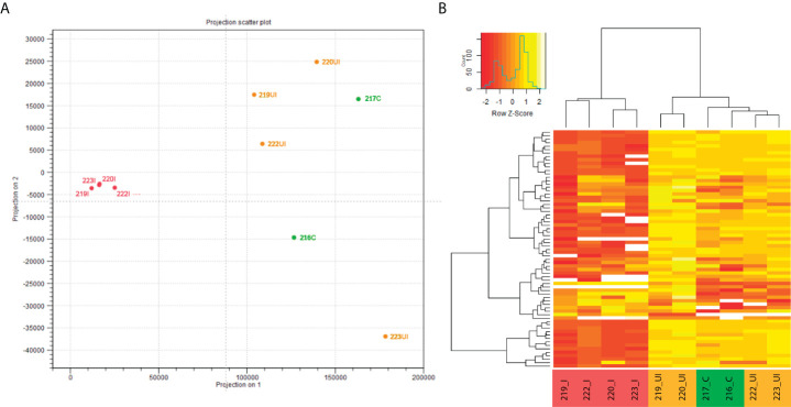 Figure 2