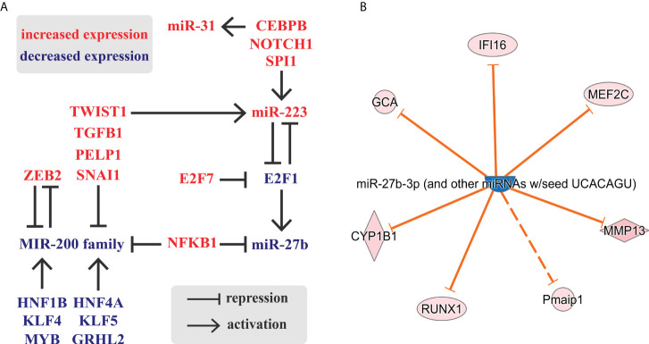 Figure 6