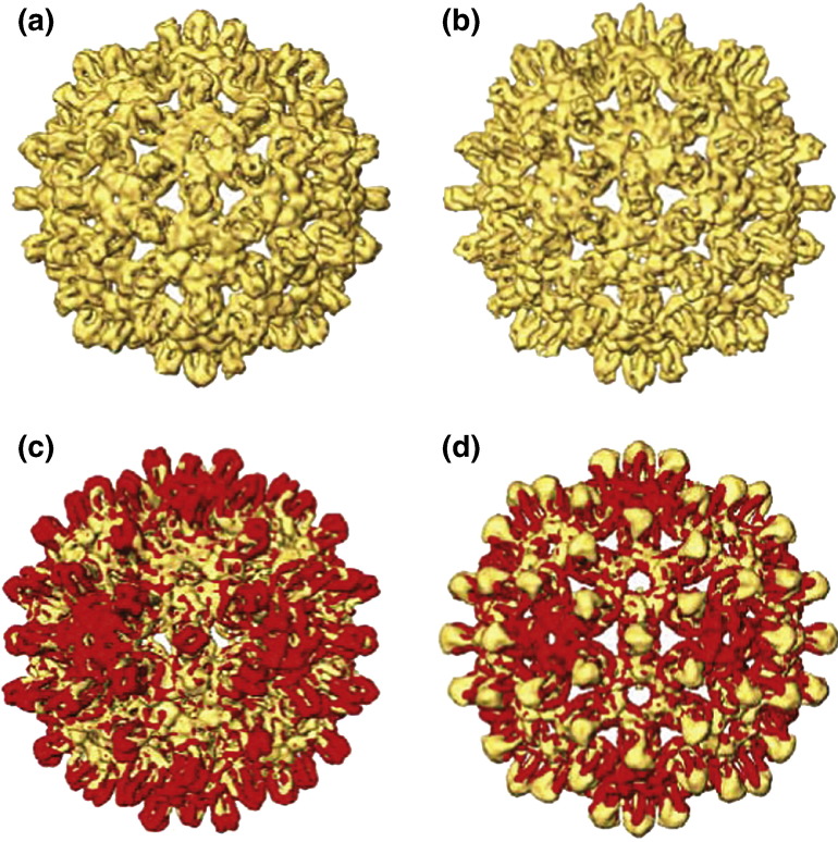 Fig. 3