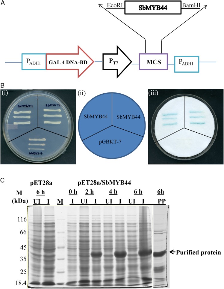 Figure 4.