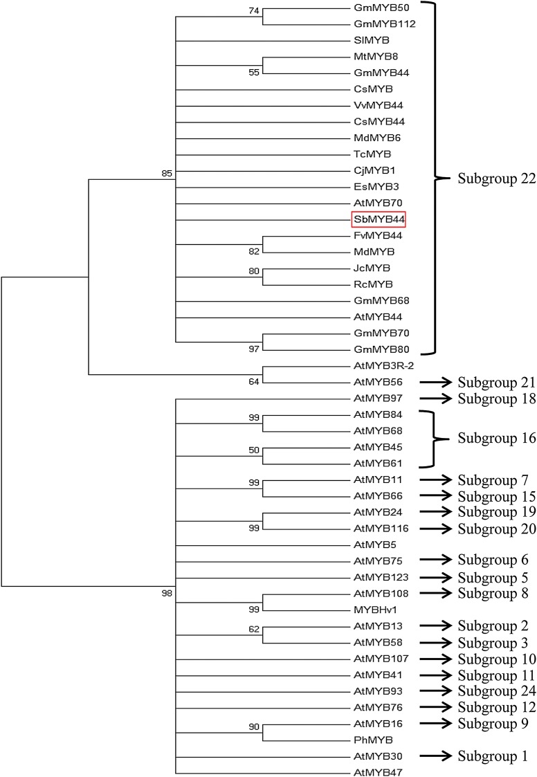 Figure 2.