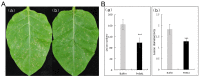 Fig 8