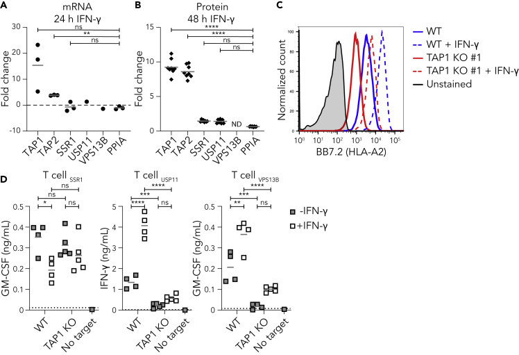 Figure 4