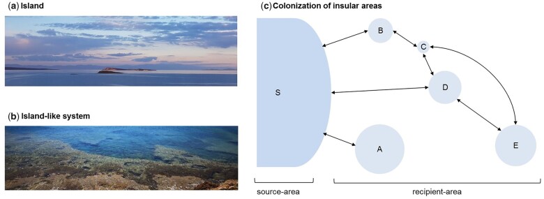 
Fig. 1.