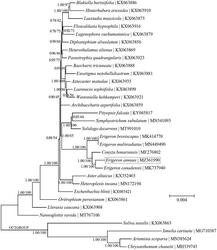 Figure 1.