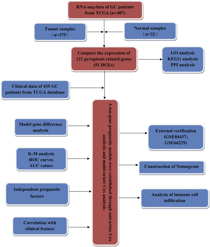 FIGURE 1