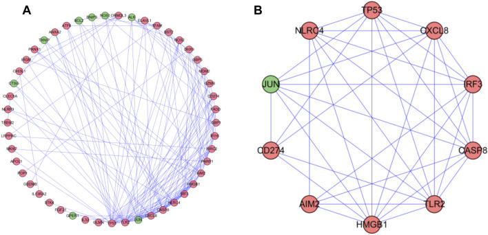 FIGURE 4