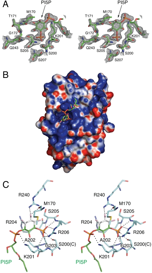 Fig. 3.