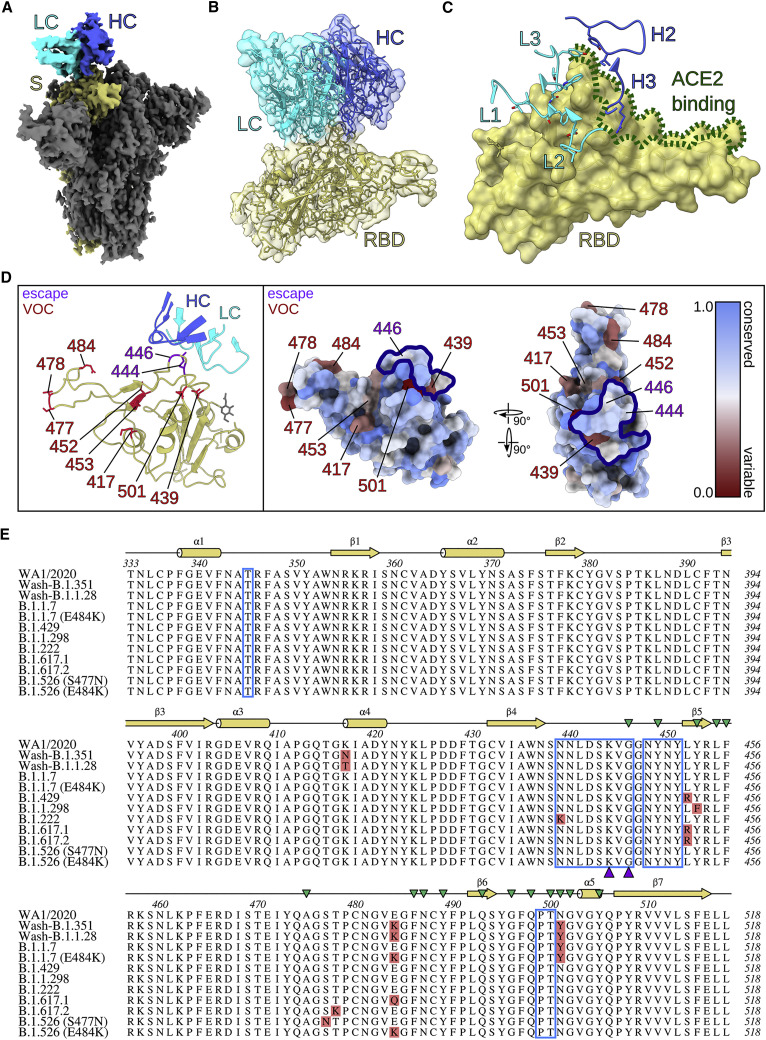 Figure 6