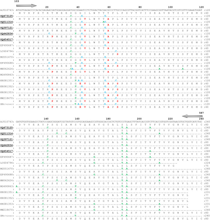 Figure 4