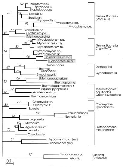 FIG. 5