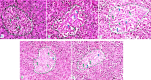 Fig. 5