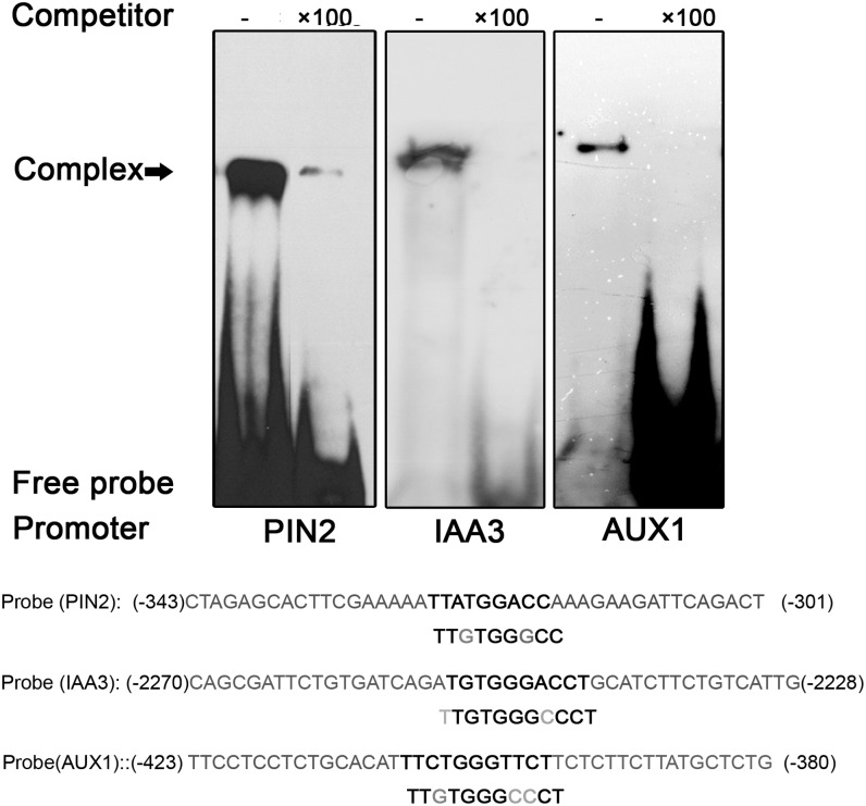 Figure 6.