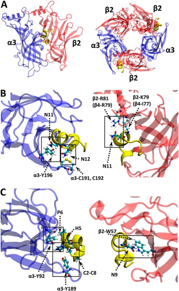 FIGURE 6.