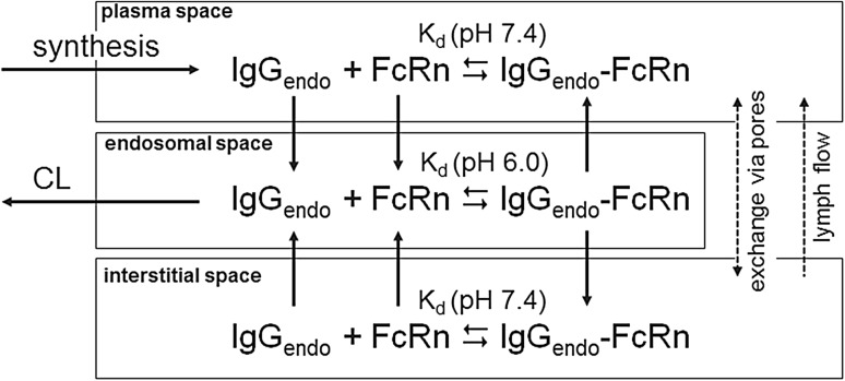 Fig. 3