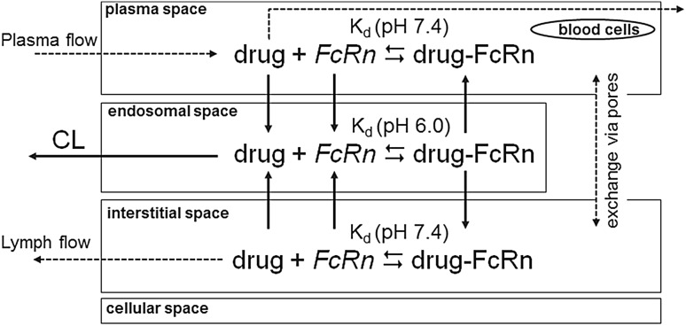 Fig. 2