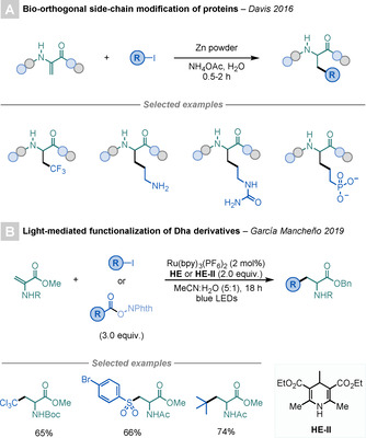 Scheme 21