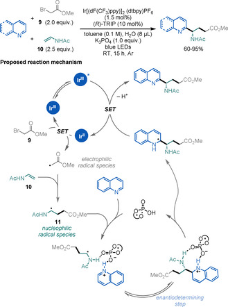 Scheme 14