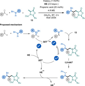 Scheme 23