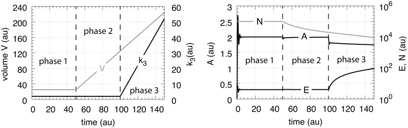 Fig 18