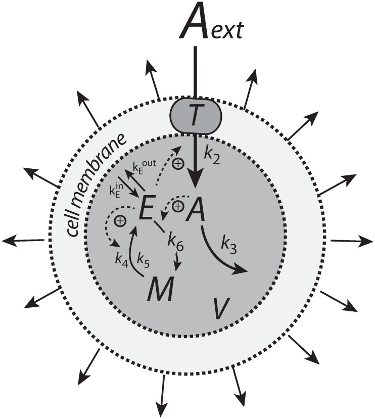 Fig 10