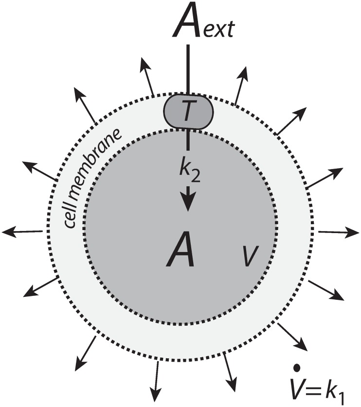 Fig 5